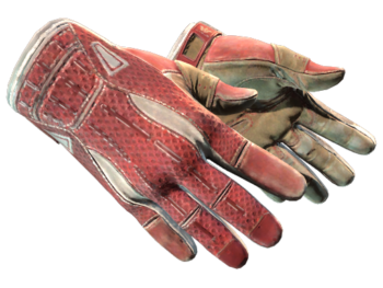 ★ Sport Gloves | Slingshot (Field-Tested)